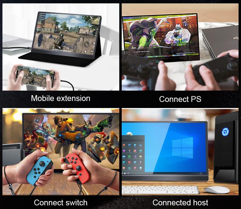Portable Monitor Display PM133-1(图5)