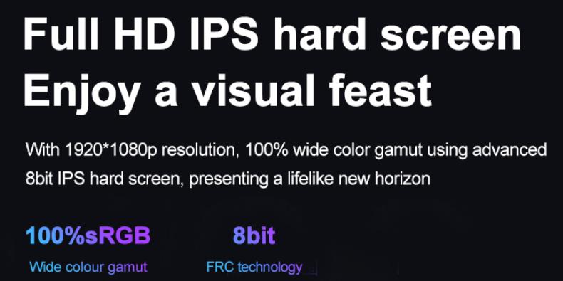 Portable Monitor Display PM133-1(图6)
