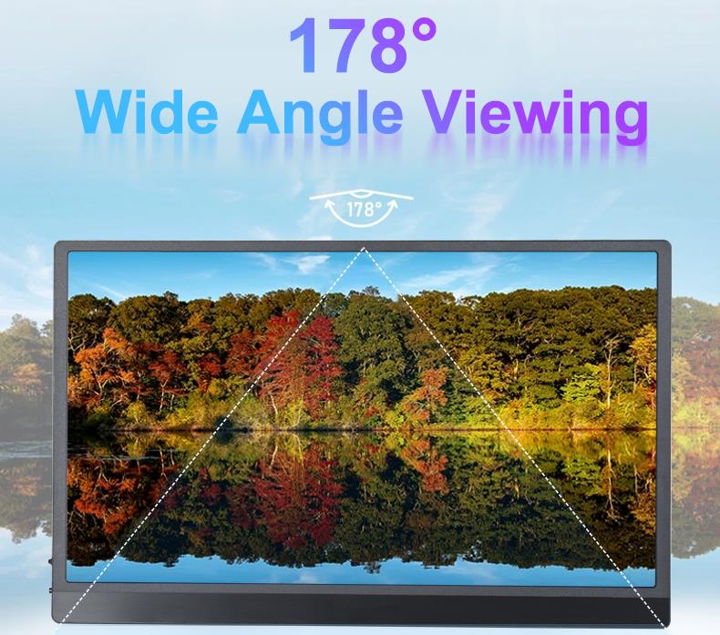 Portable Monitor Display PM133-1(图11)