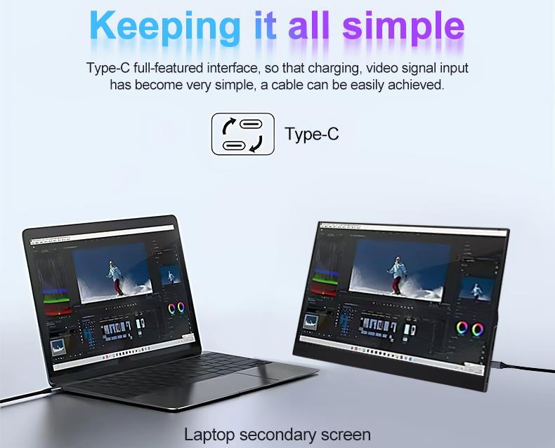 Portable Monitor Display PM133-1(图15)