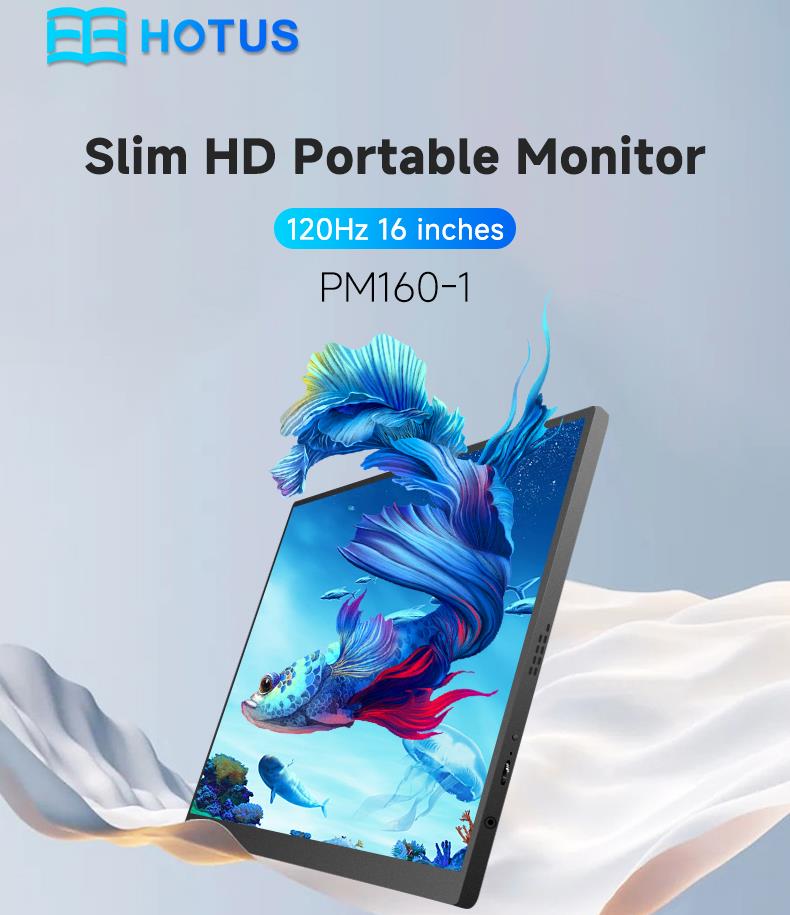 Portable Monitor PM160-1(图1)