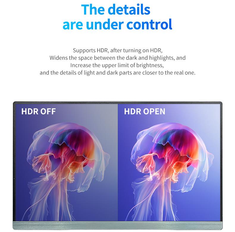 15.6-inch Portable Touch Monitor PM158-1(图9)