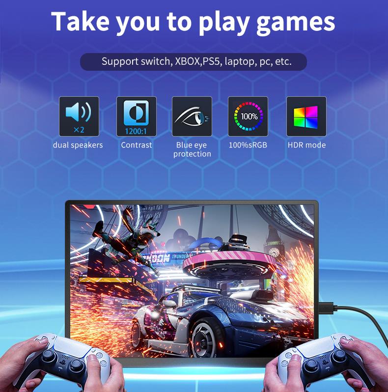 17.3-inch Portable Monitor PM173-1(图6)
