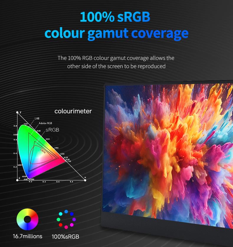 15.0-inch Portable Monitor PM150-1(图8)