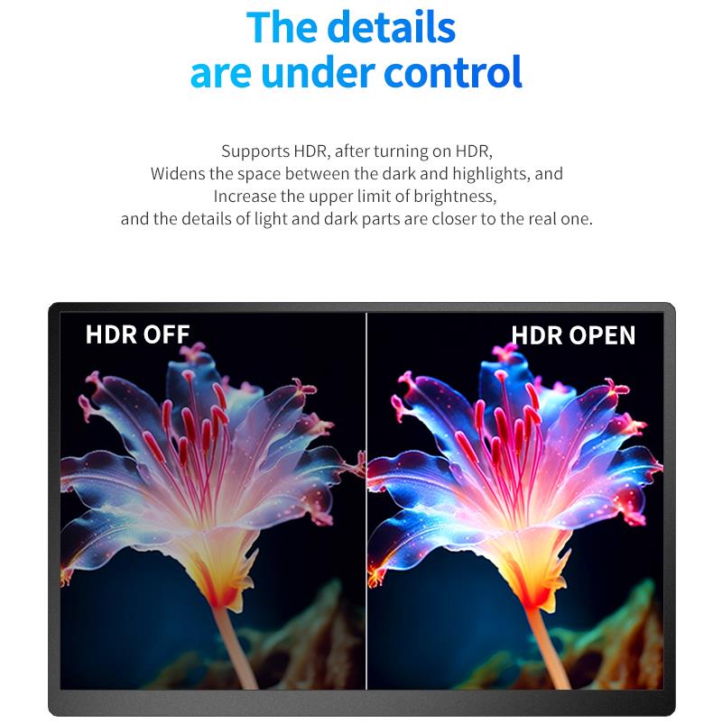 15.0-inch Portable Monitor PM150-1(图9)