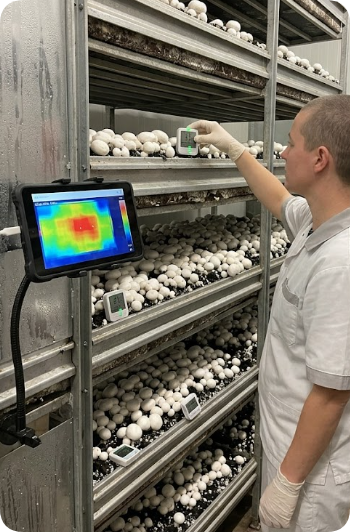 Mushroom Farm Climate Uniformity Mapping(图2) Mushroom Farm Climate Uniformity Optimization: Leveraging Rugged Tablets for Precision Environmental Mapping(图2)